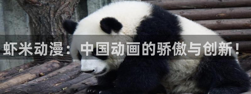 动漫之家我推的孩子：虾米动漫：中国动画的骄傲与创新！